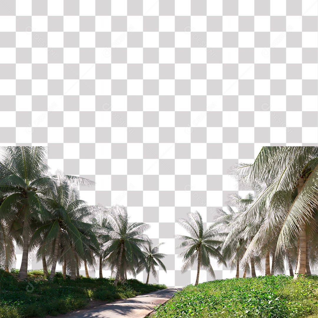 Árvore de Folha Verde Coqueiro Planta PNG Transparente