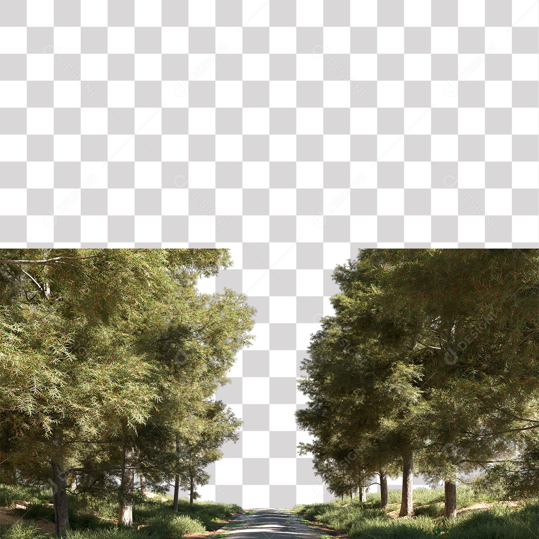 Paisagem Árvores Planta Estrada PNG Transparente