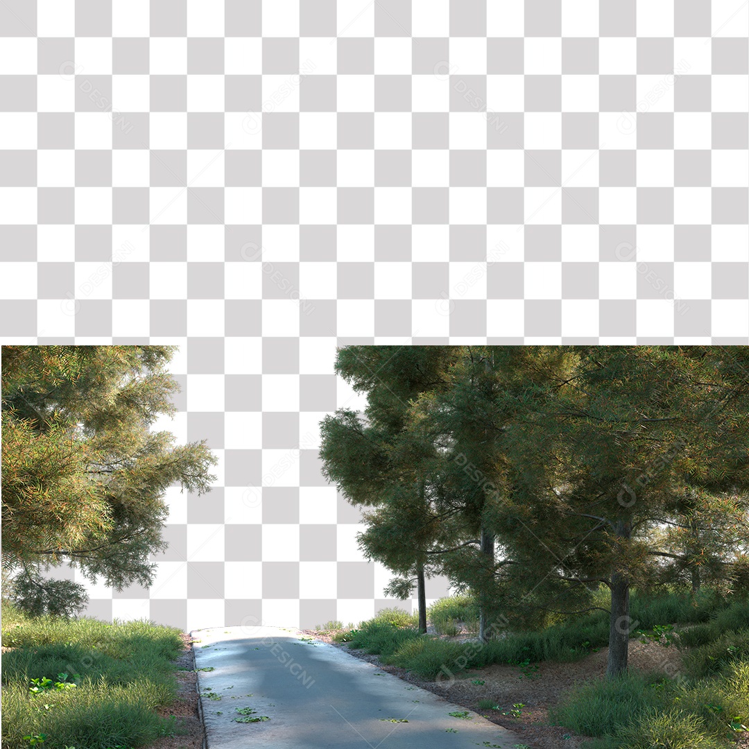 Paisagem Árvores Planta Estrada PNG Transparente