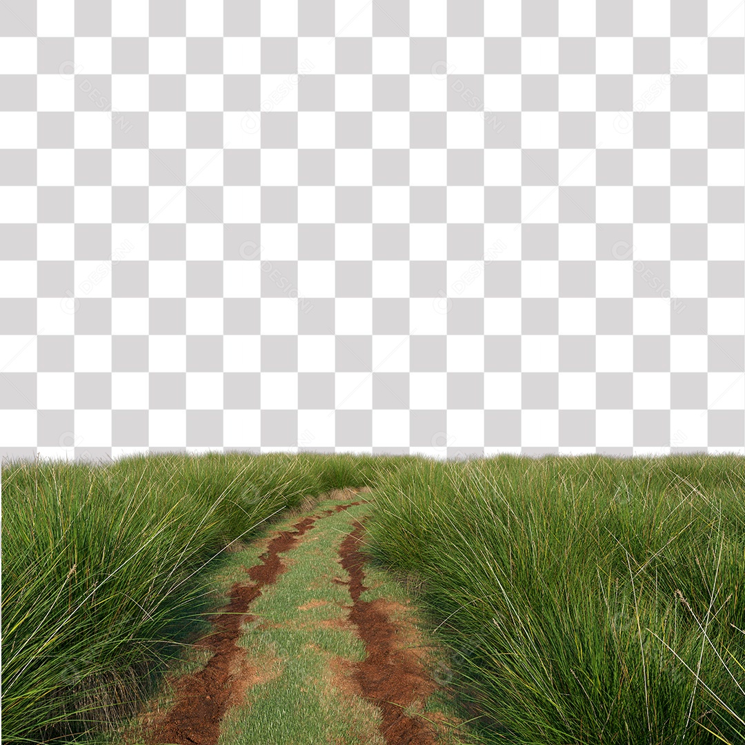 Paisagem Árvores Planta Estrada PNG Transparente