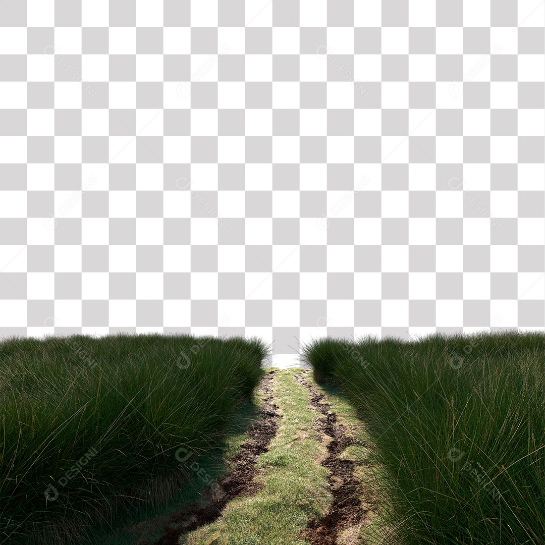 Paisagem Árvores Planta Estrada PNG Transparente