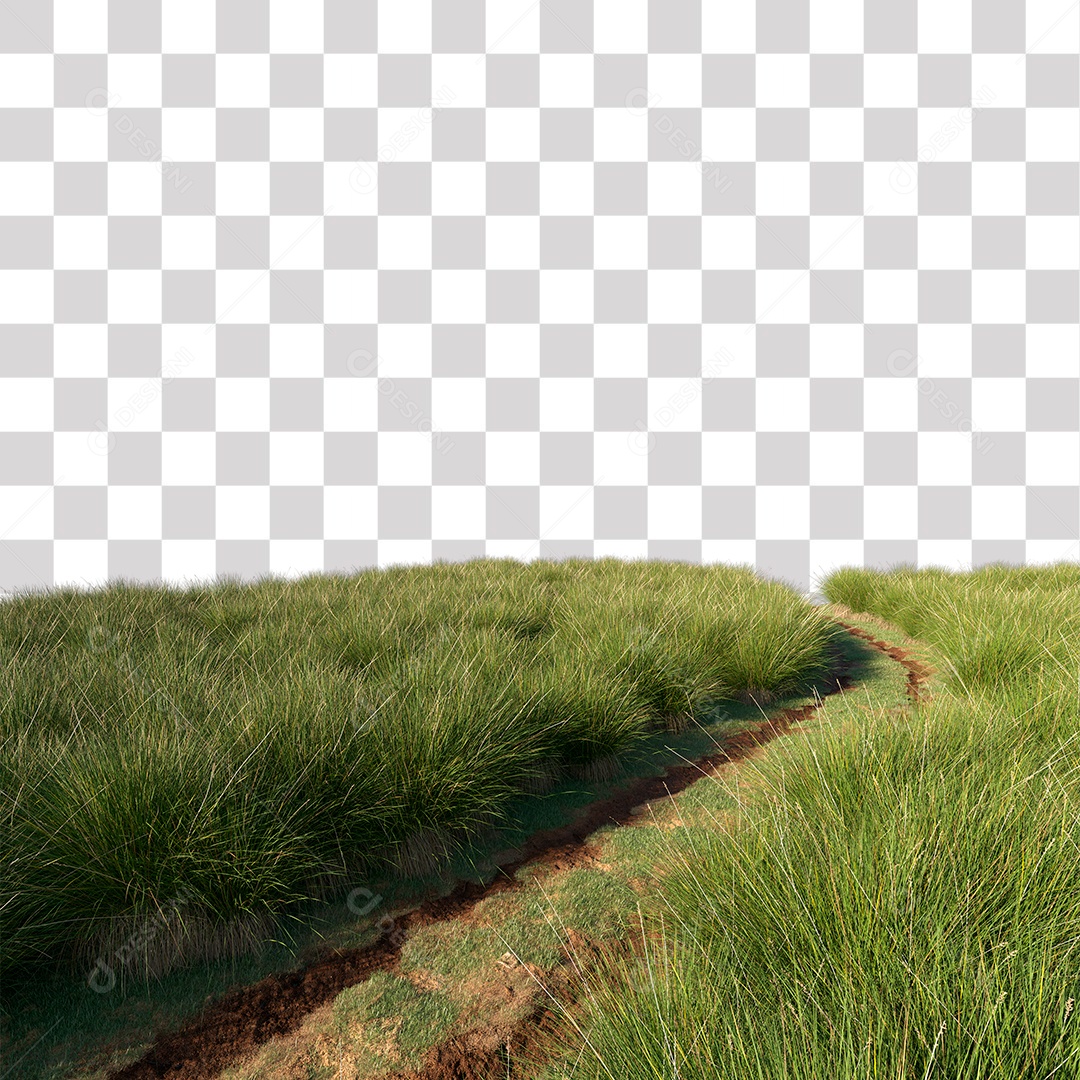 Paisagem Árvores Planta Estrada PNG Transparente