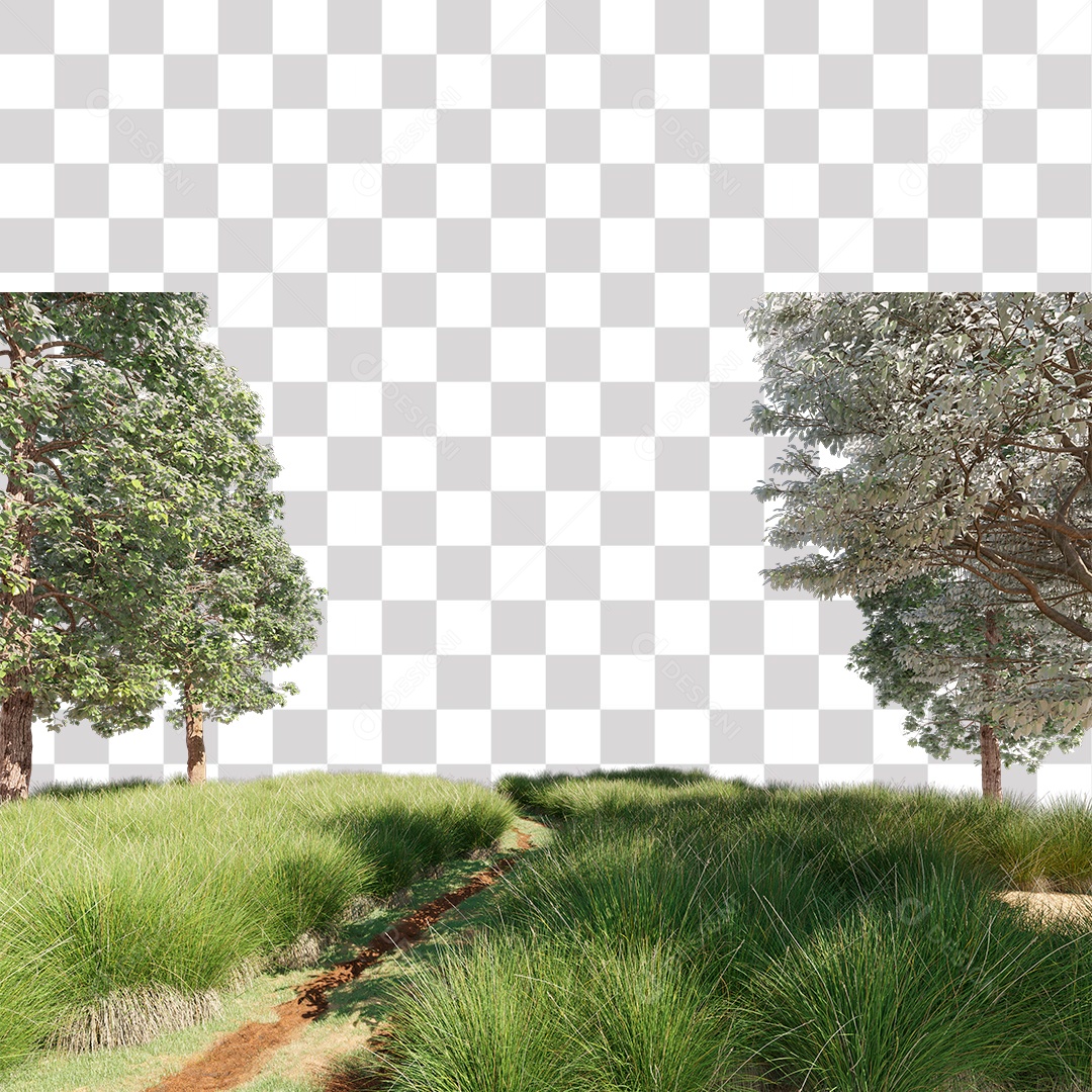 Paisagem Árvores Estrada PNG Transparente