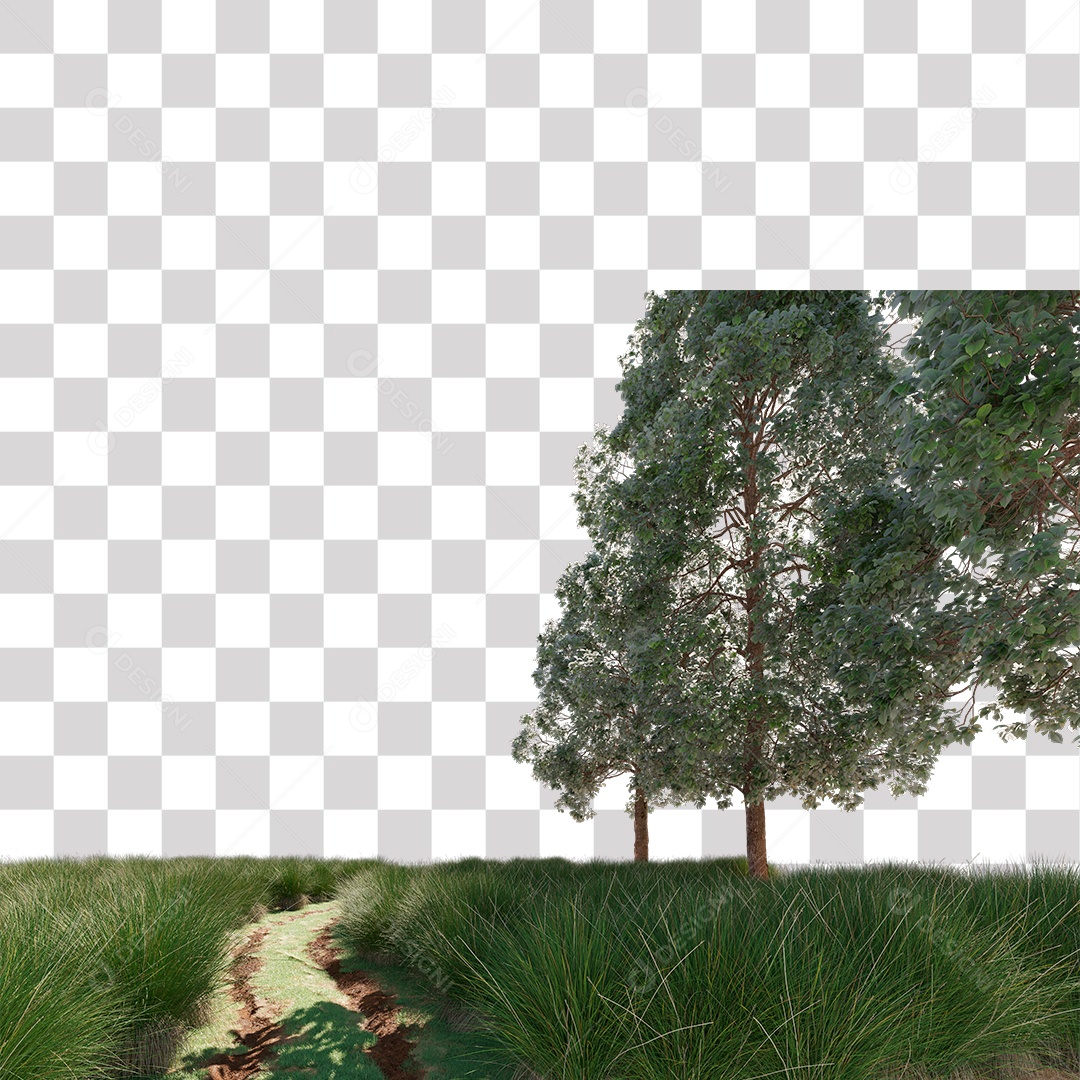 Paisagem Árvores Estrada PNG Transparente