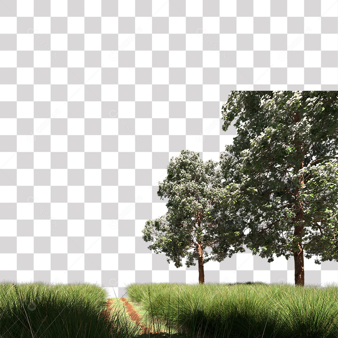 Paisagem Árvores Estrada PNG Transparente