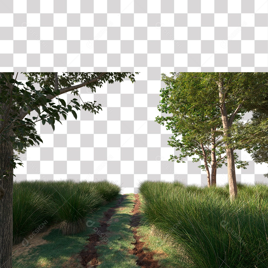 Paisagem Árvores Estrada PNG Transparente