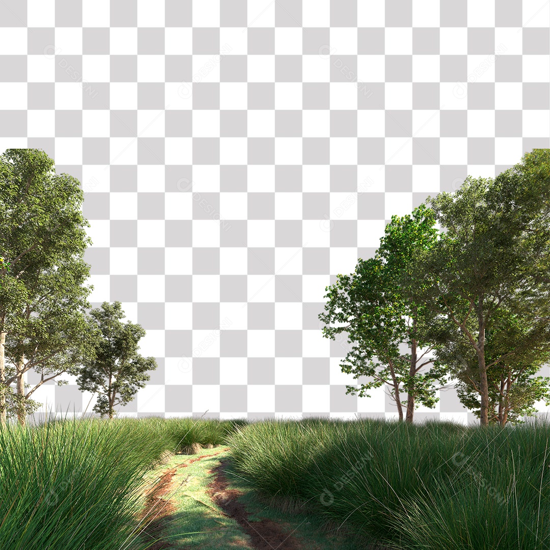 Paisagem Árvores Estrada PNG Transparente