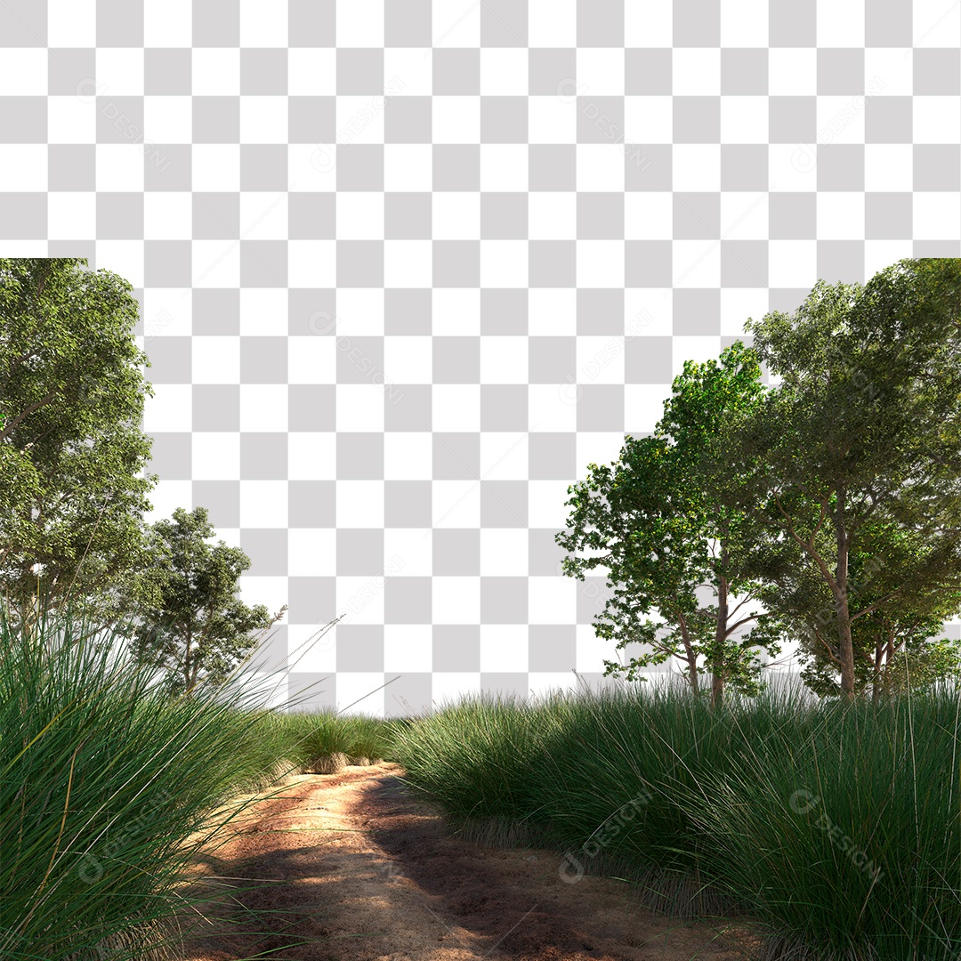 Paisagem Árvores Estrada PNG Transparente