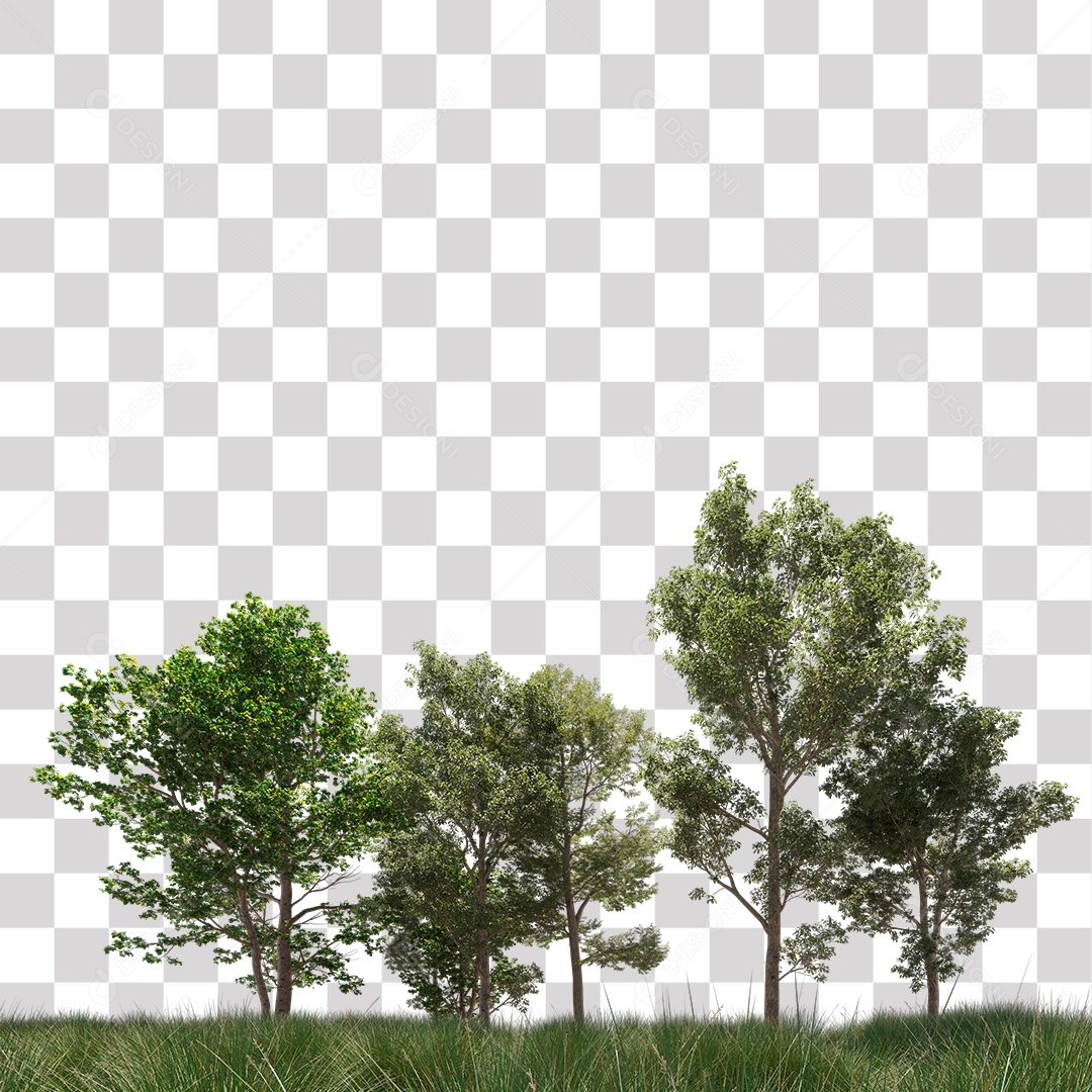 Árvore de Folha Verde Planta PNG Transparente