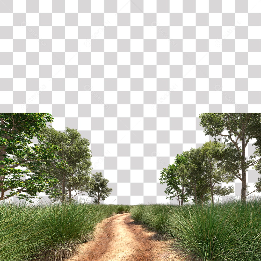 Árvore de Folha Verde Planta Estrada PNG Transparente