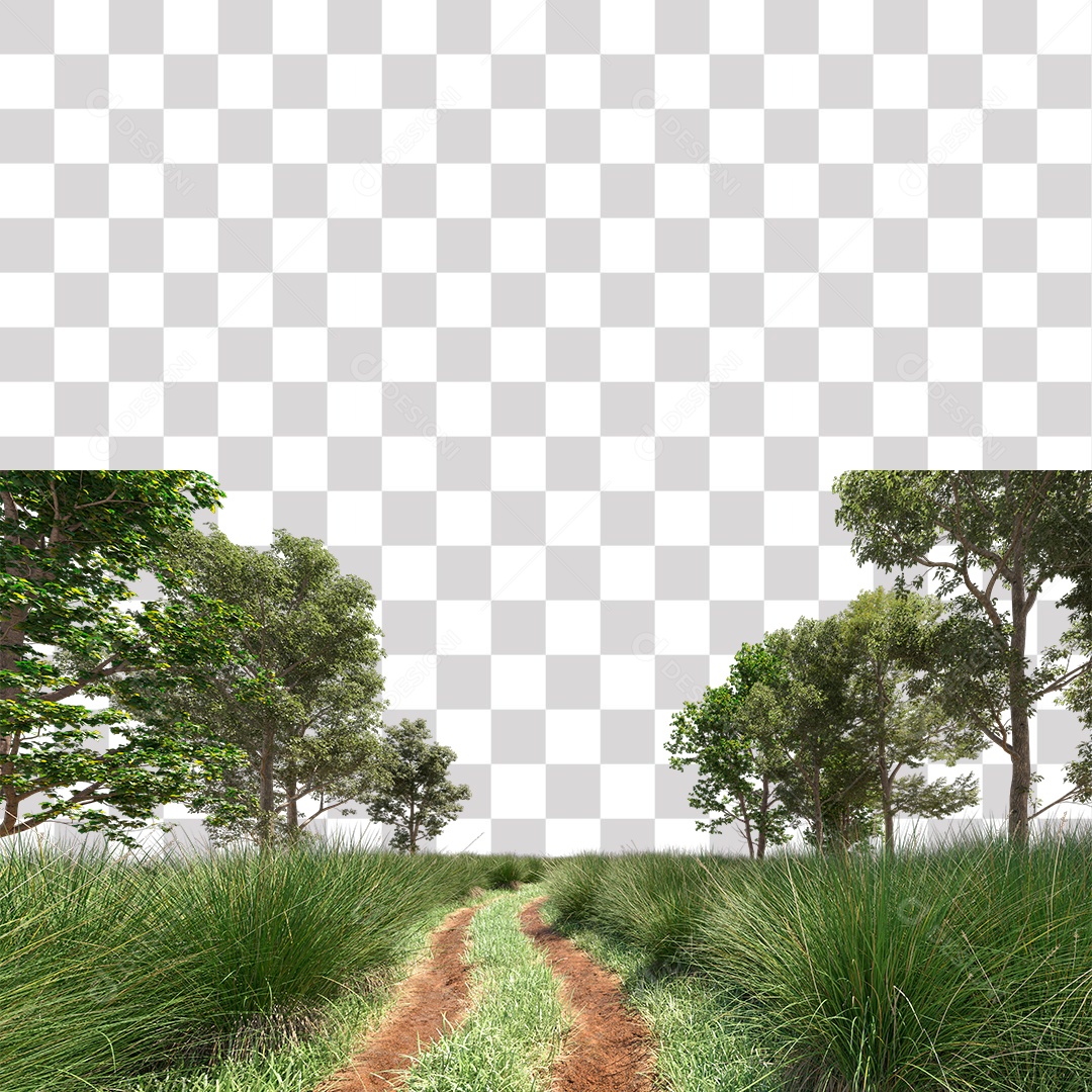 Árvore de Folha Verde Planta PNG Transparente