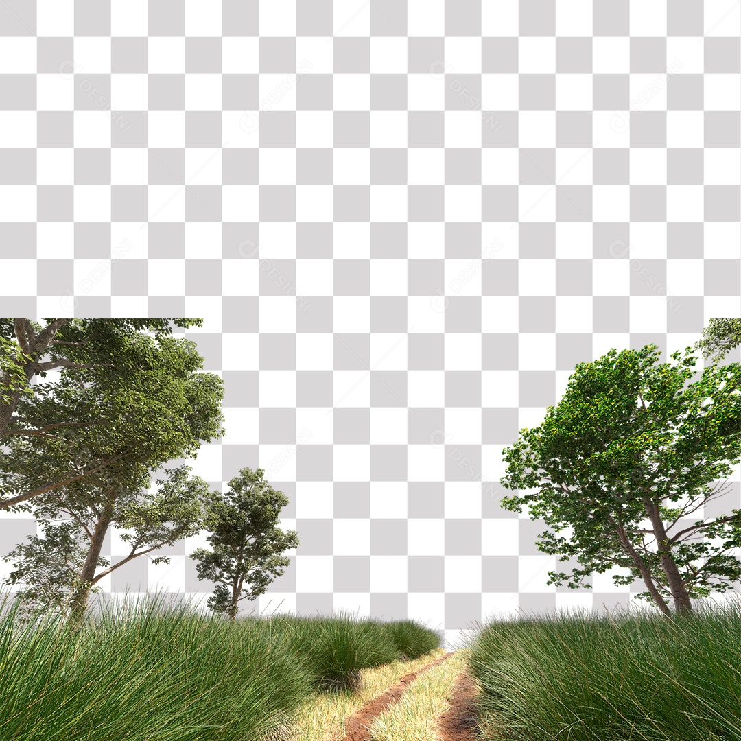 Árvore de Folha Verde Planta PNG Transparente