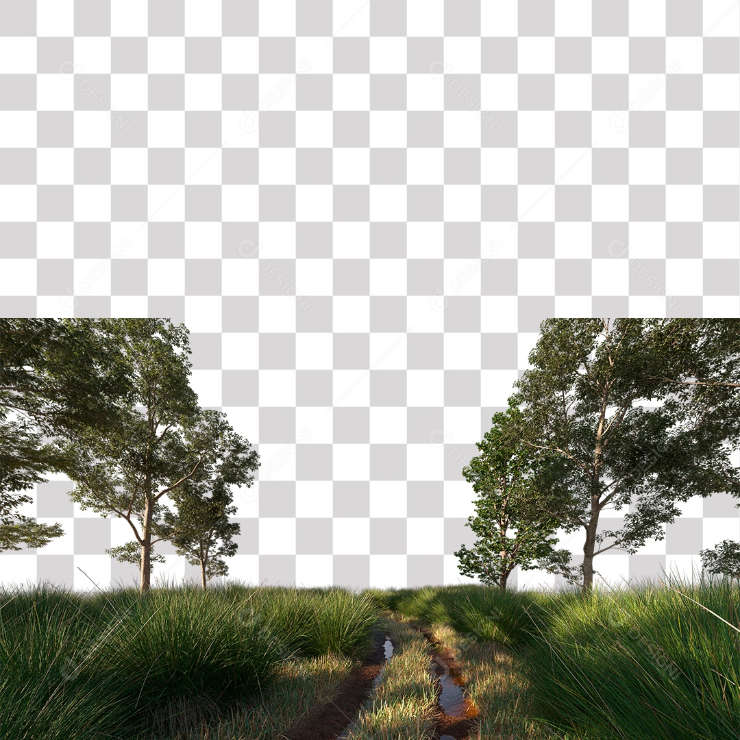 Árvore de Folha Verde Planta PNG Transparente