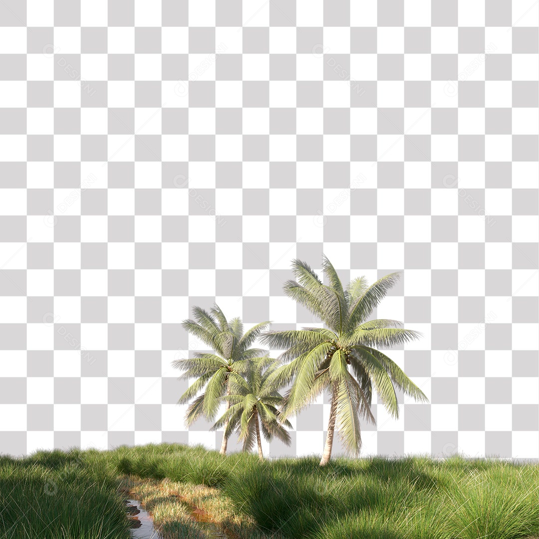 Árvore de Folha Verde Coqueiro Planta PNG Transparente