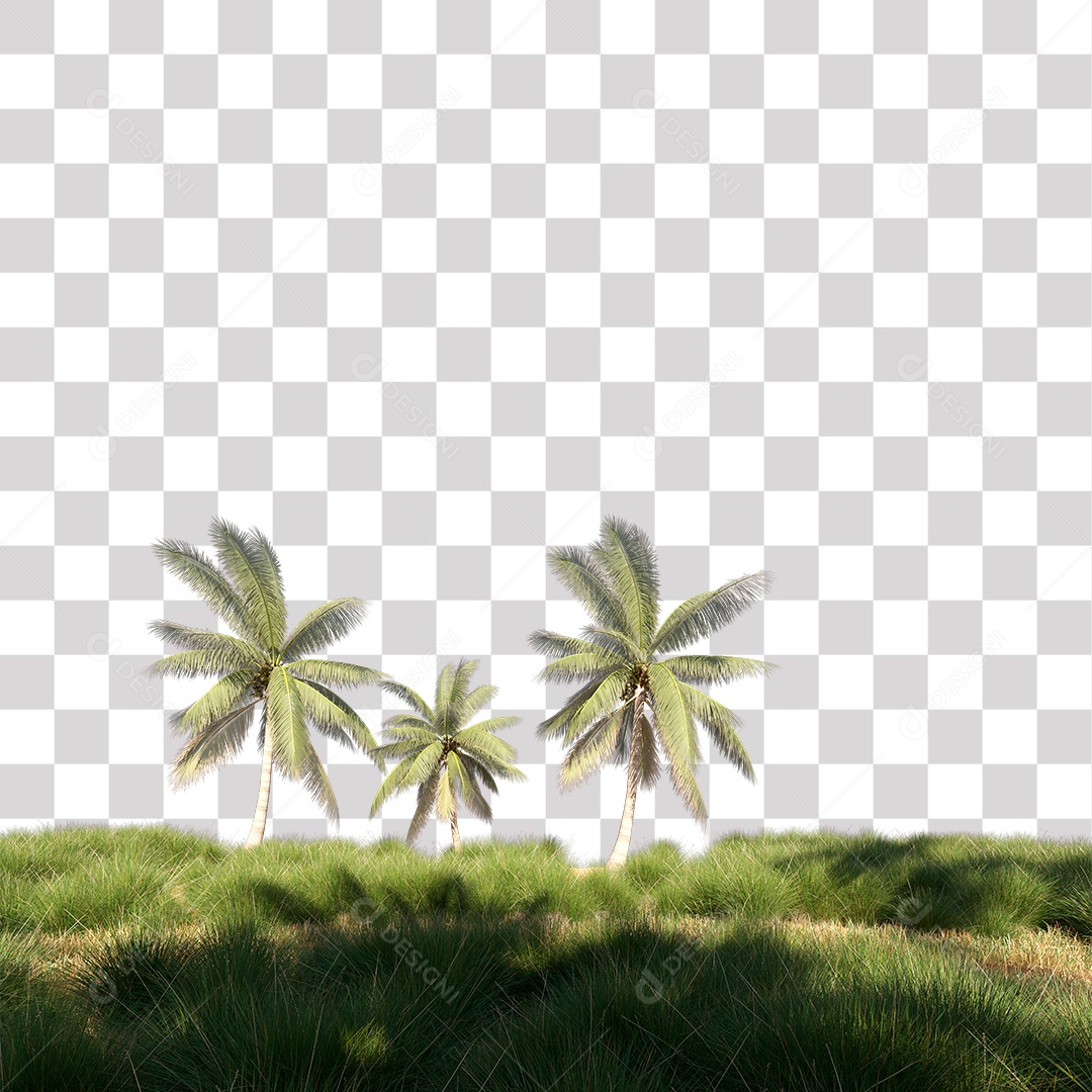 Árvore de Folha Verde Coqueiro Planta PNG Transparente