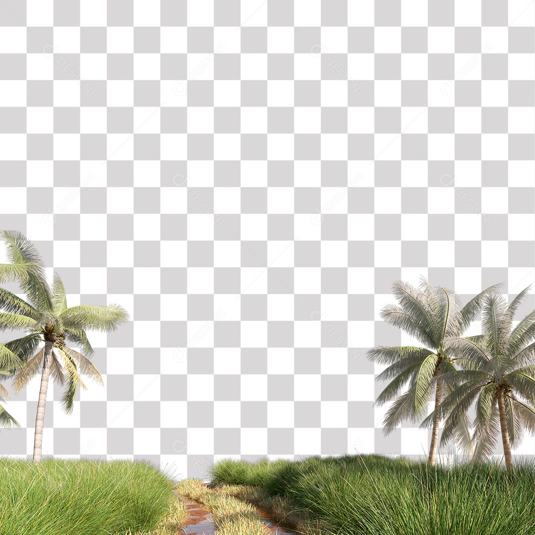 Árvore de Folha Verde Coqueiro Planta PNG Transparente