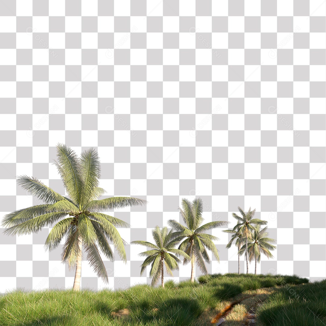 Árvore de Folha Verde Coqueiro Planta PNG Transparente