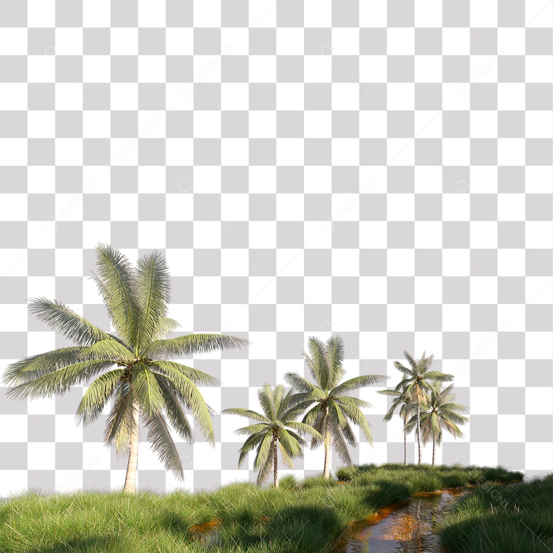 Árvore de Folha Verde Coqueiro Planta PNG Transparente