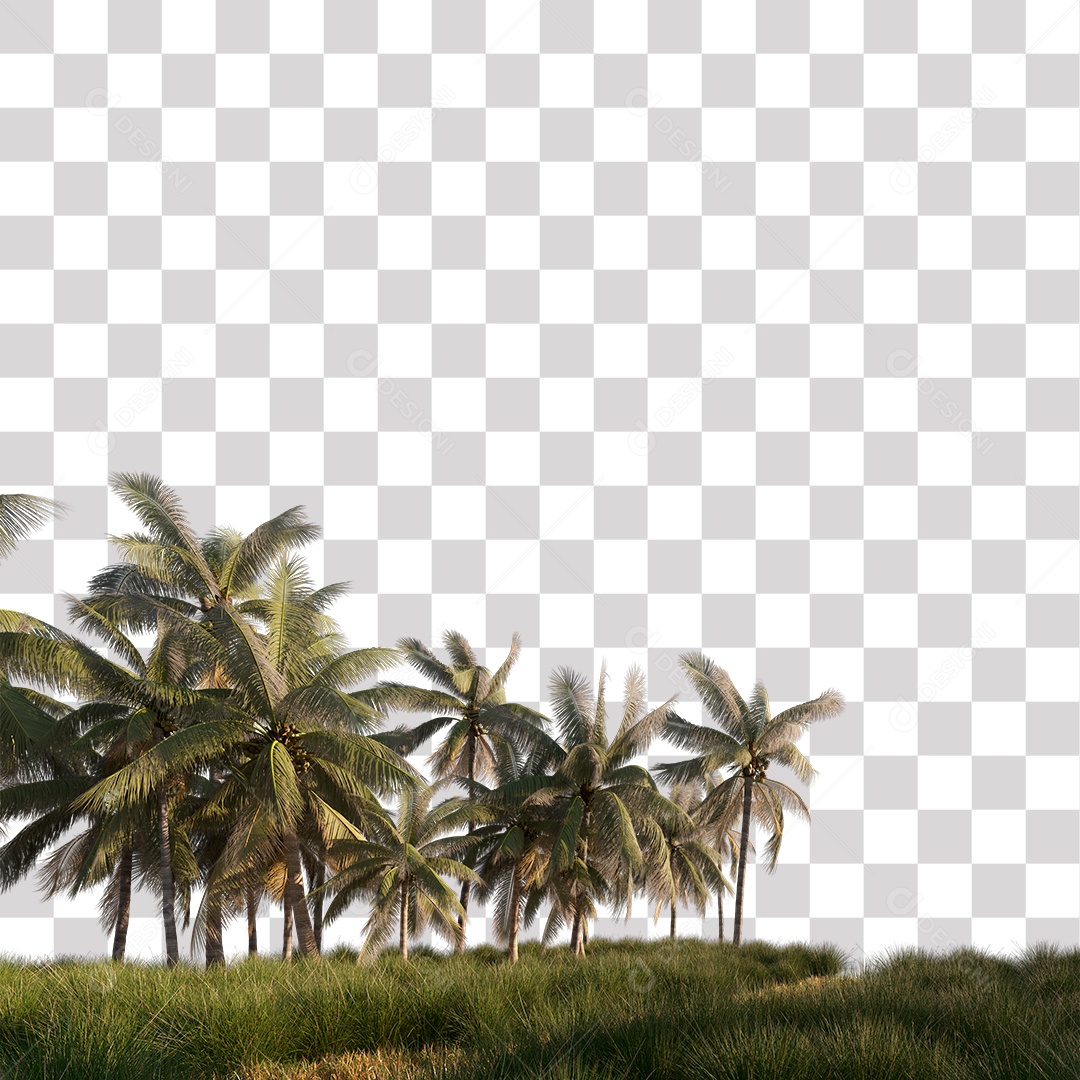 Árvore de Folha Verde Coqueiro Planta PNG Transparente