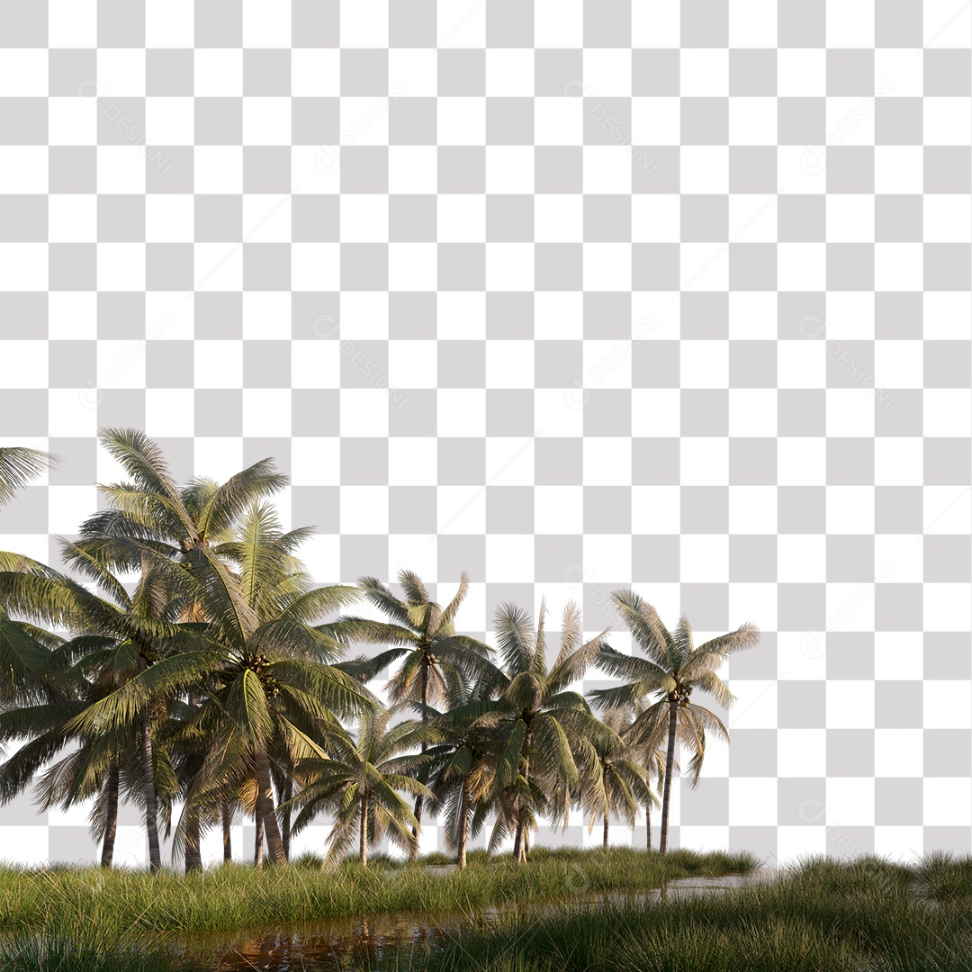 Árvore de Folha Verde Coqueiro Planta PNG Transparente