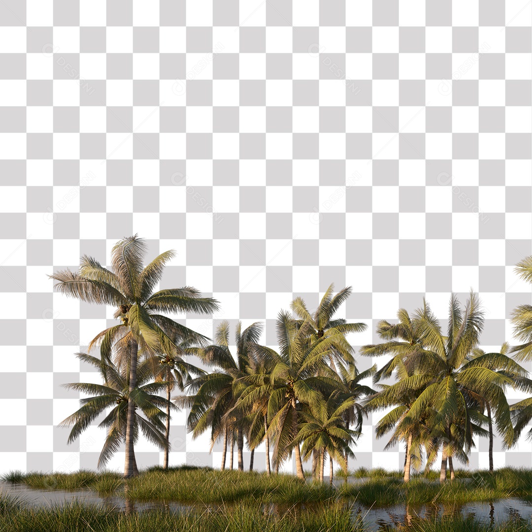 Árvore de Folha Verde Coqueiro Planta PNG Transparente