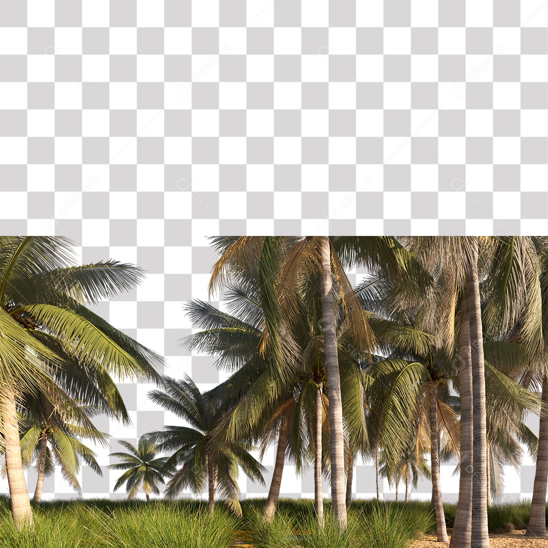 Árvore de Folha Verde Coqueiro Planta PNG Transparente