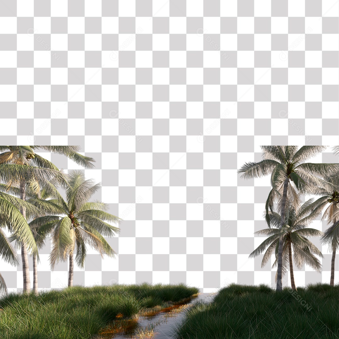 Green Leaf Tree Coconut Palm Plant Transparent PNG