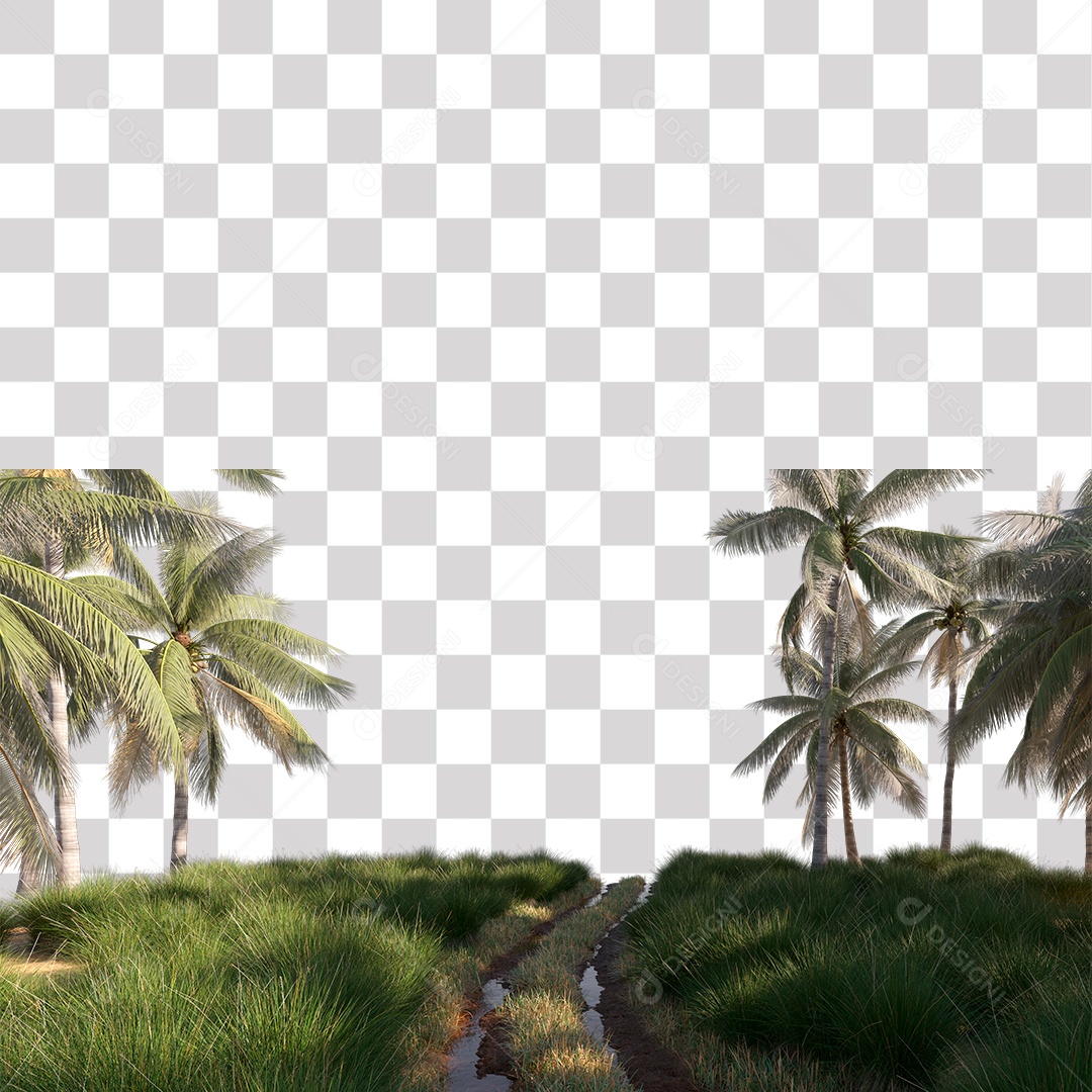 Árvore de Folha Verde Coqueiro Planta PNG Transparente