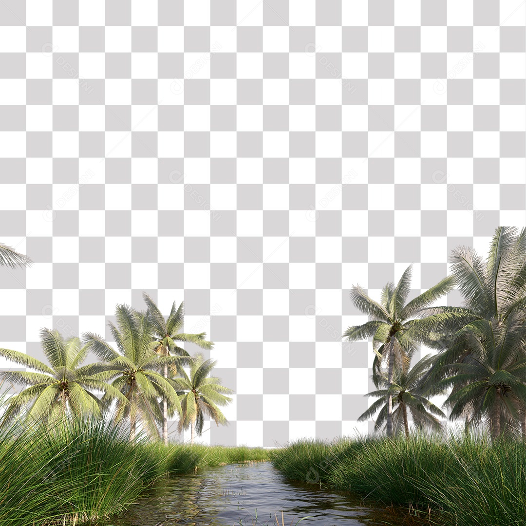 Árvore de Folha Verde Coqueiro Planta PNG Transparente