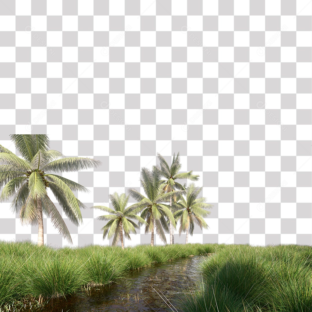 Árvore de Folha Verde Coqueiro Planta PNG Transparente