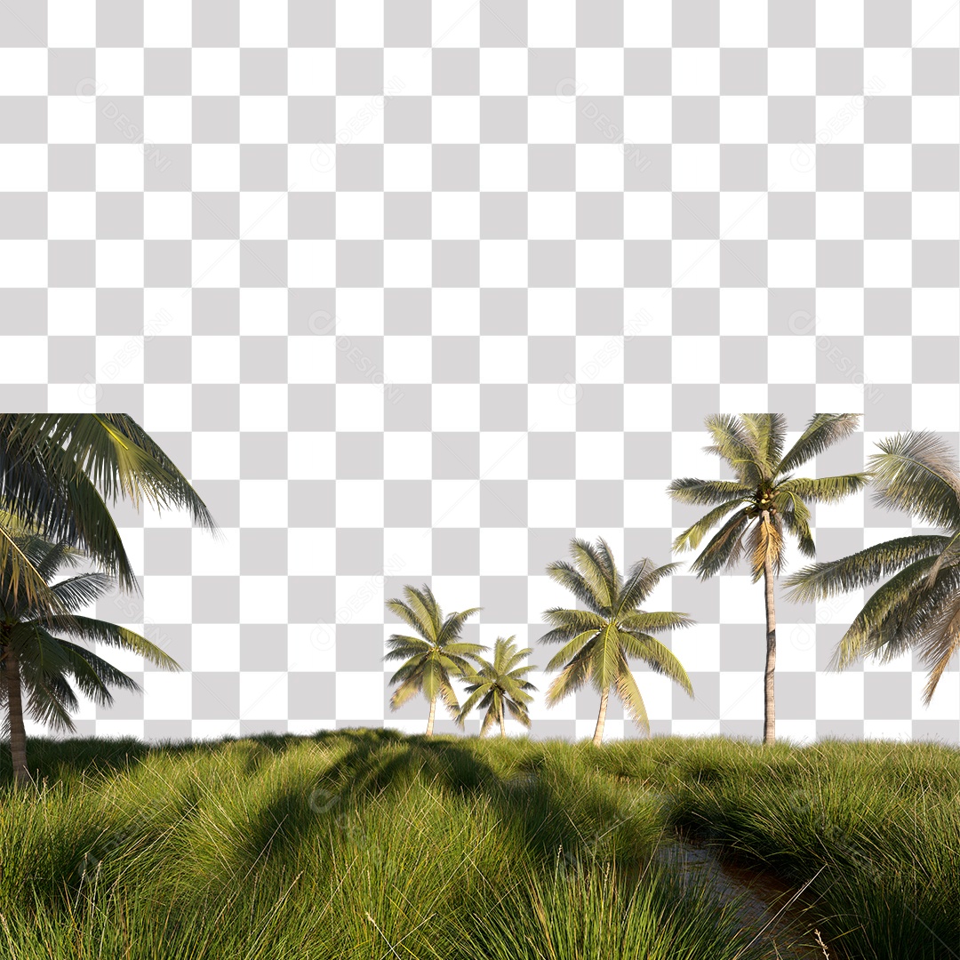 Árvore de Folha Verde Coqueiro Planta PNG Transparente