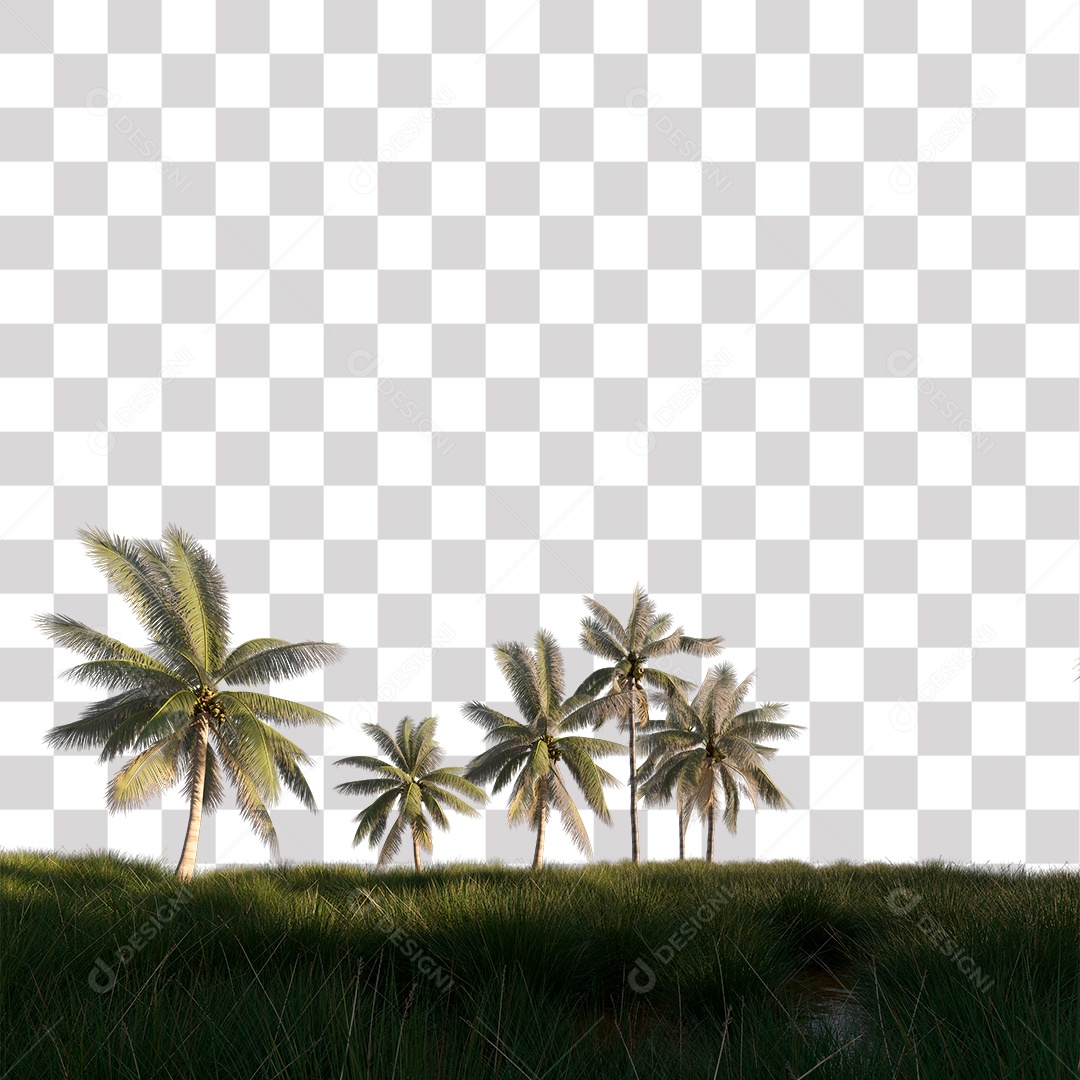 Árvore de Folha Verde Coqueiro Planta PNG Transparente