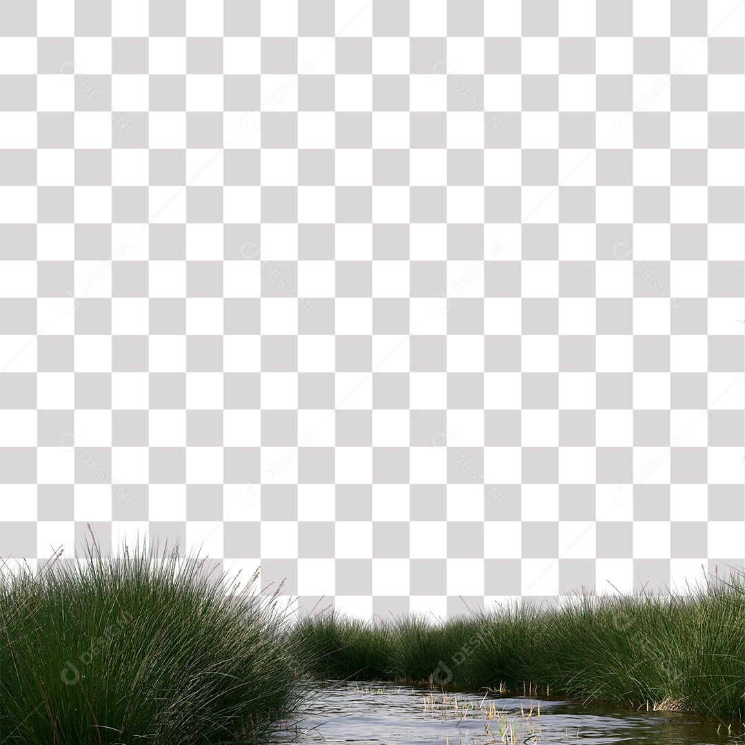 Arbusto de Capim Verde Córrego PNG Transparente