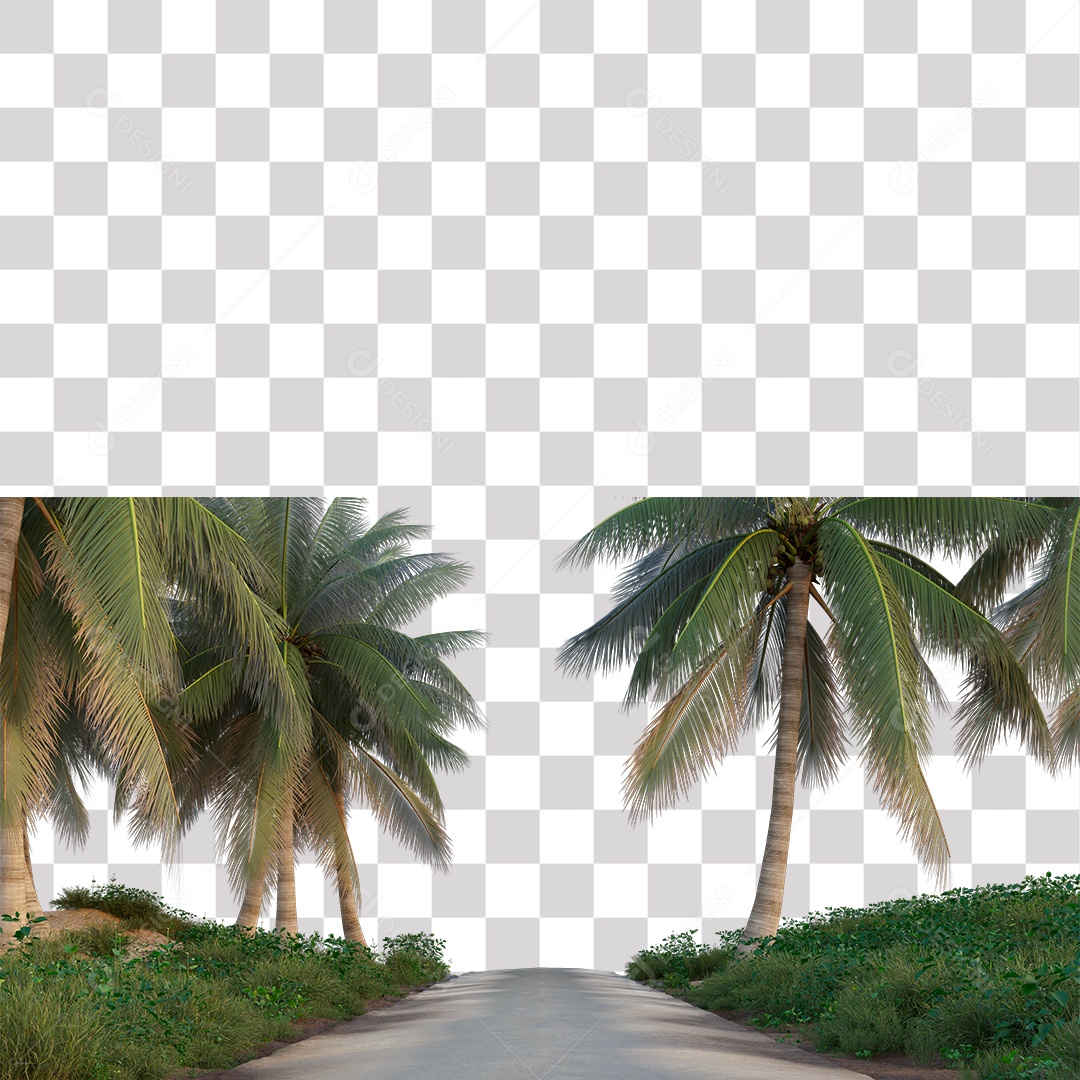 Árvore de Folha Verde Coqueiro Estrada PNG Transparente