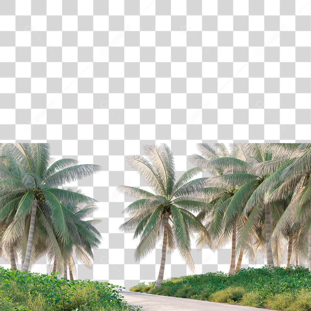 Árvore de Folha Verde Coqueiro Estrada PNG Transparente