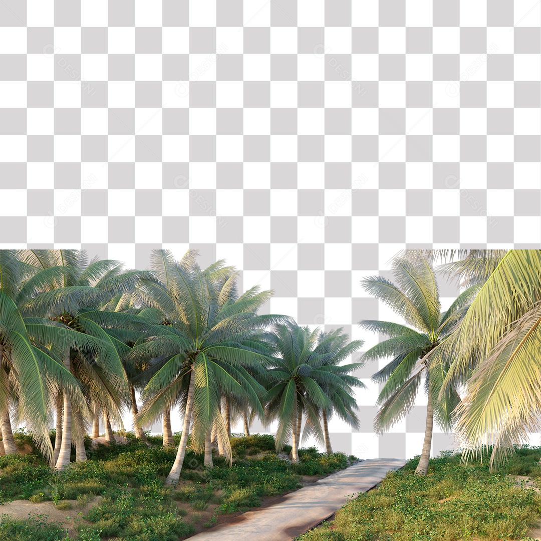 Árvore de Folha Verde Coqueiro Estrada PNG Transparente