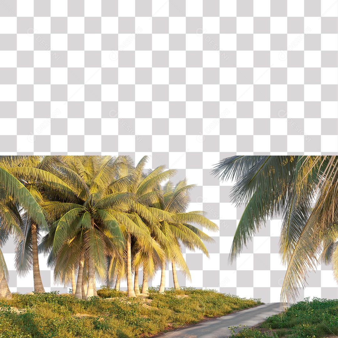 Árvore de Folha Verde Coqueiro Estrada PNG Transparente