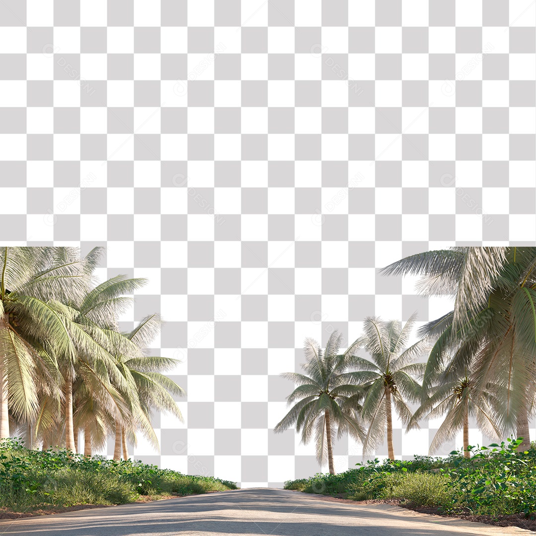 Green Leaf Tree Coconut Tree Road PNG Transparent