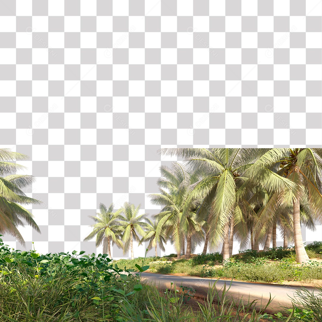 Árvore de Folha Verde Coqueiro Estrada PNG Transparente