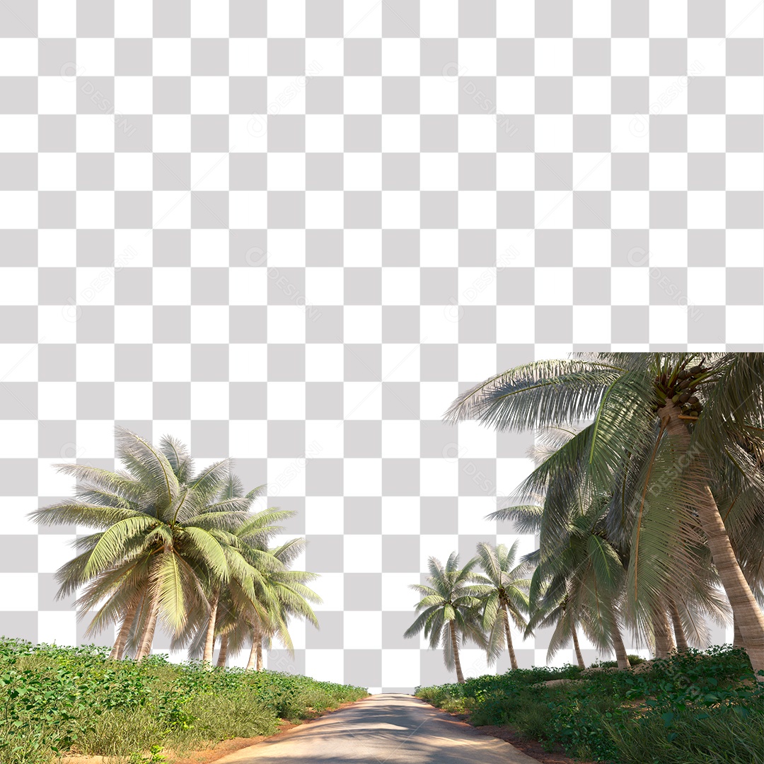 Árvore de Folha Verde Coqueiro Estrada PNG Transparente