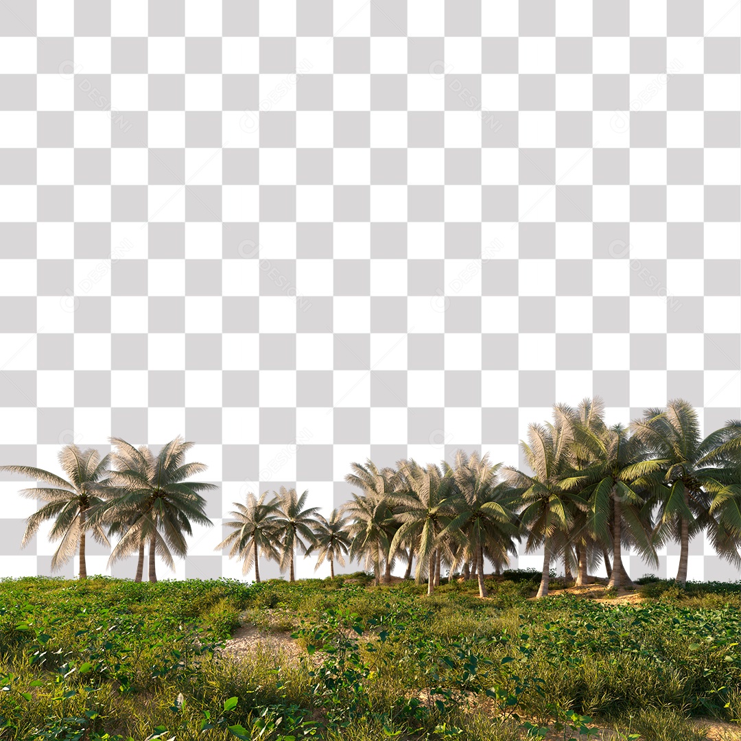 Árvore de Folha Verde Coqueiro Planta PNG Transparente