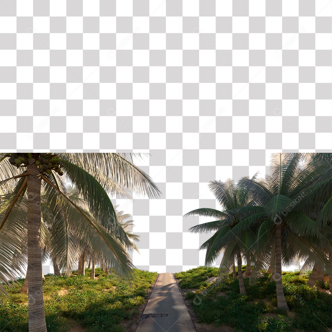 Árvore de Folha Verde Coqueiro Estrada PNG Transparente