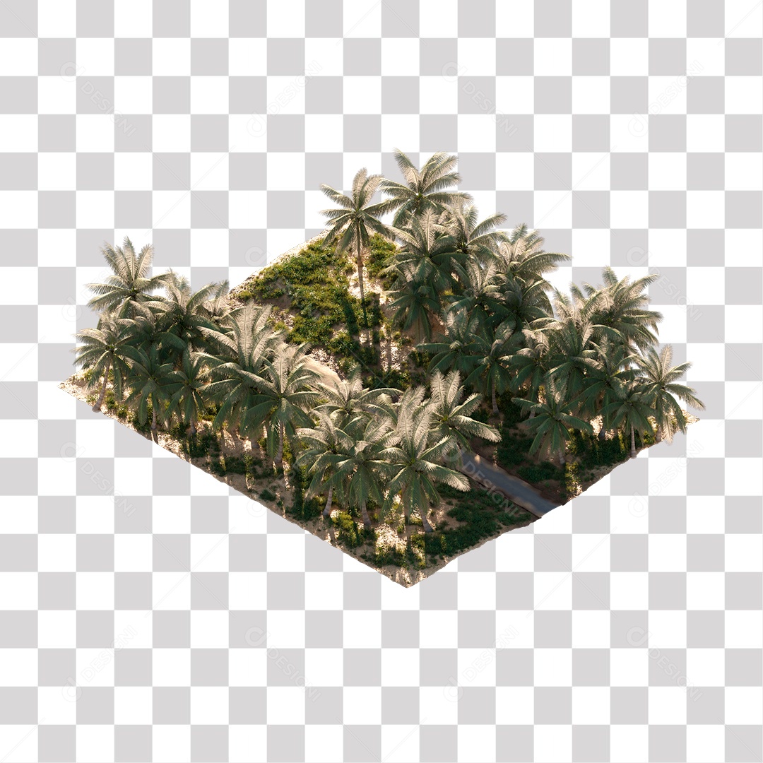 Árvore de Folha Verde Coqueiro Planta PNG Transparente