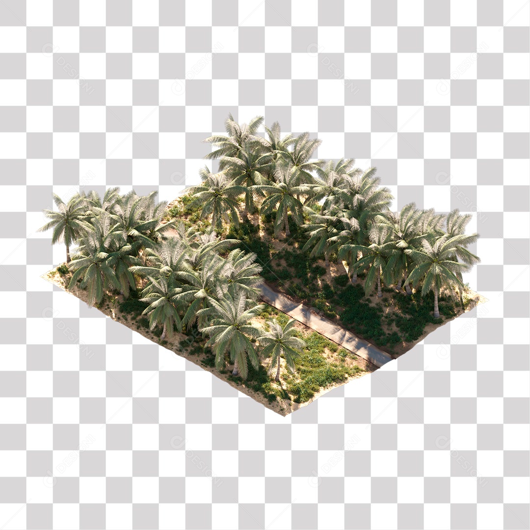 Árvore de Folha Verde Coqueiro Planta PNG Transparente