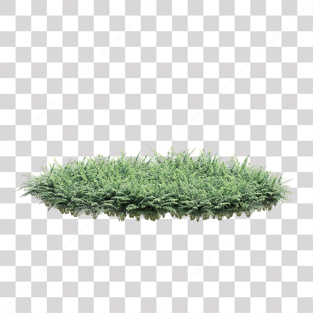 Planta Arbusto PNG Transparente