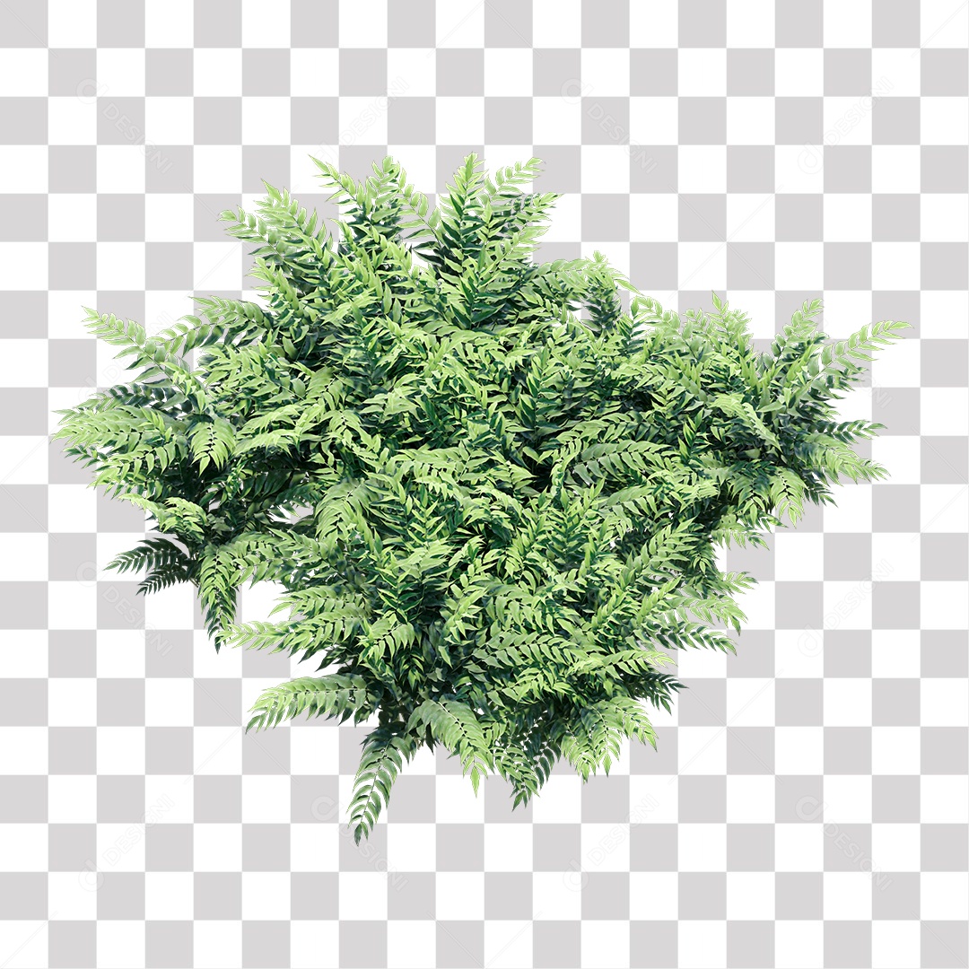 Planta Arbusto PNG Transparente