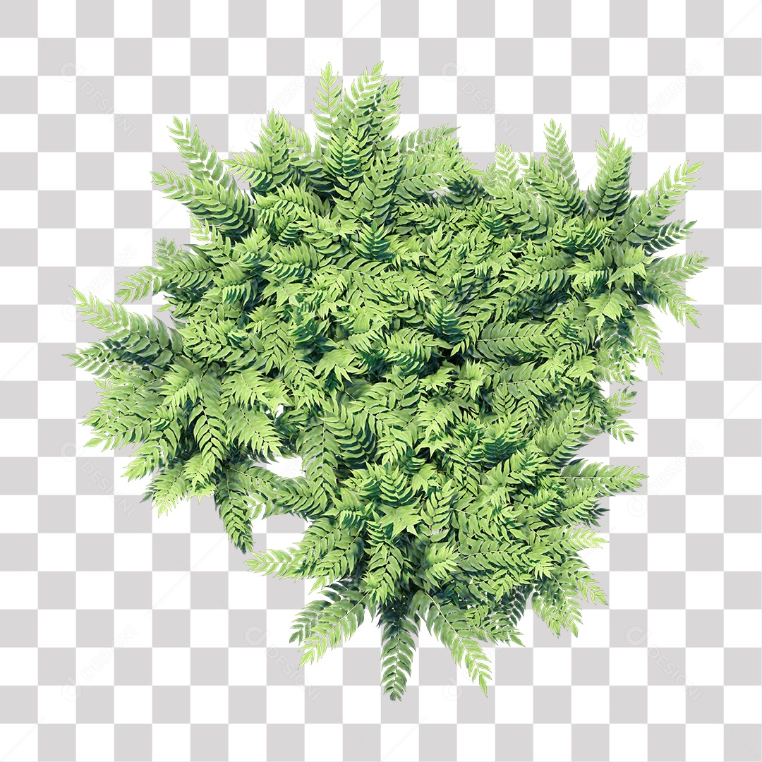 Planta Arbusto PNG Transparente