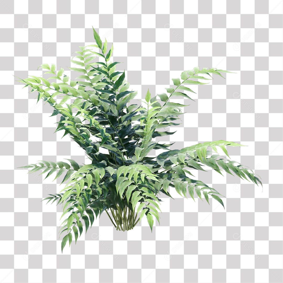 Planta Arbusto PNG Transparente