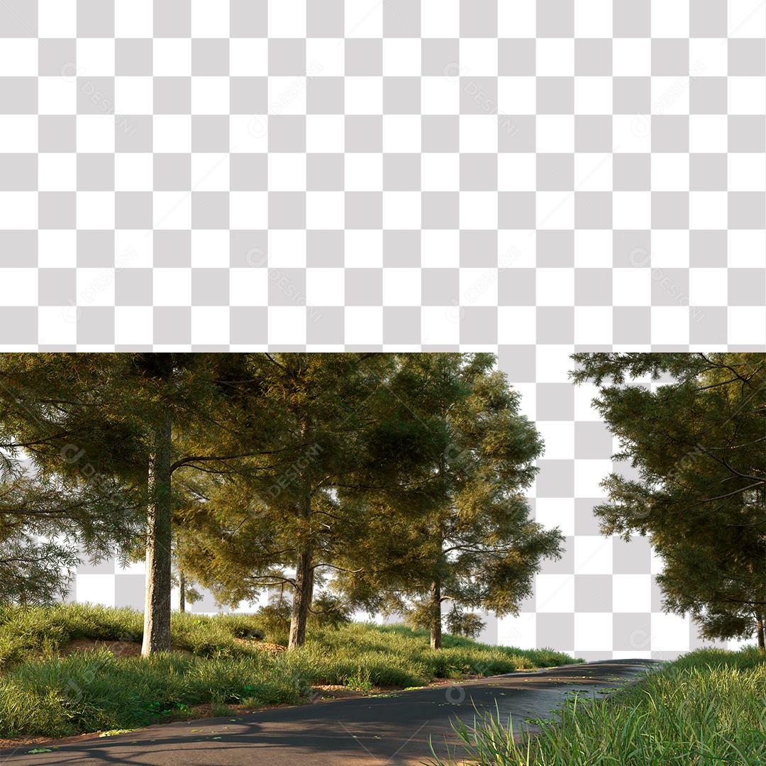 Árvore de Folha Verde Planta Estrada PNG Transparente