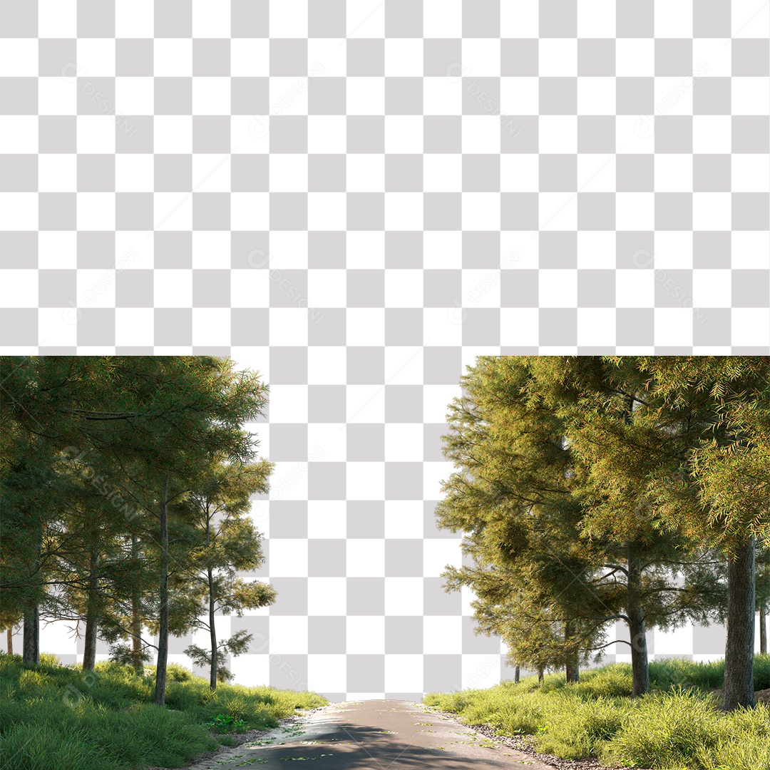 Árvore de Folha Verde Planta Estrada PNG Transparente